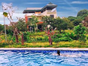 View hồ bơi của Vườn hồng Villa luôn là nơi sống ảo cho các cặp đôi thích lãng mạn