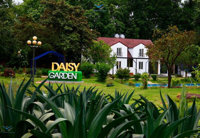 Daisy Garden được bao phủ bởi cánh rừng hoang sơ nhưng lại thoáng mát trên nền cỏ xanh man mát
